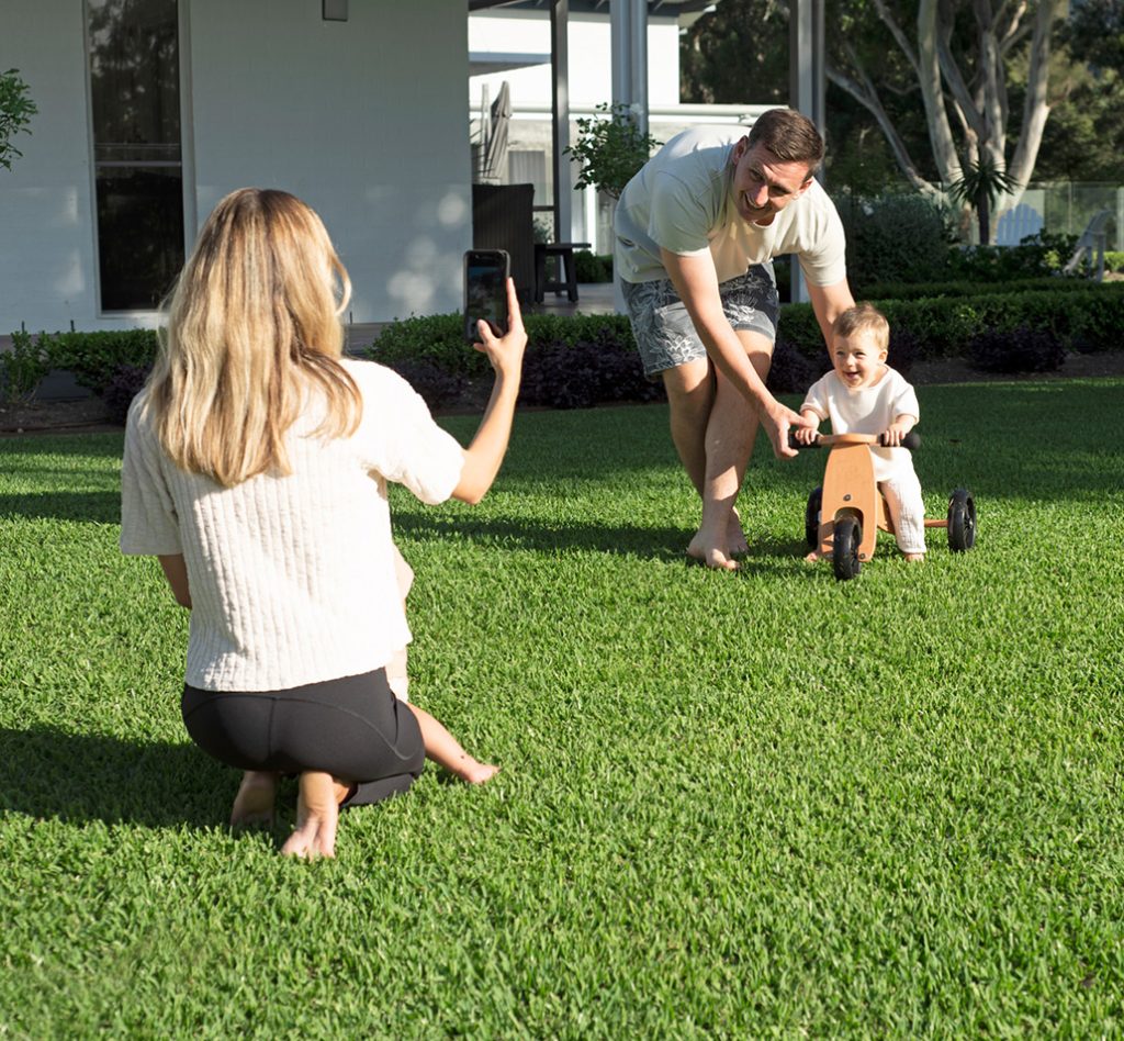 Wide Bay Turf - Sir Walter Buffalo