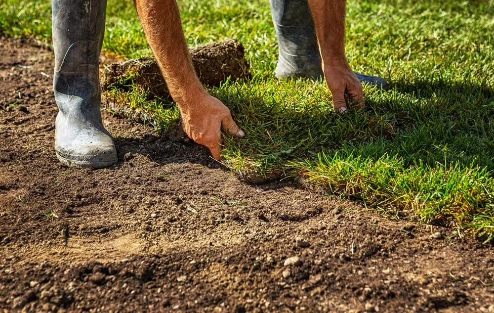 Choosing The Right Topsoil For Your Turf Needs by Wide Bay Turf