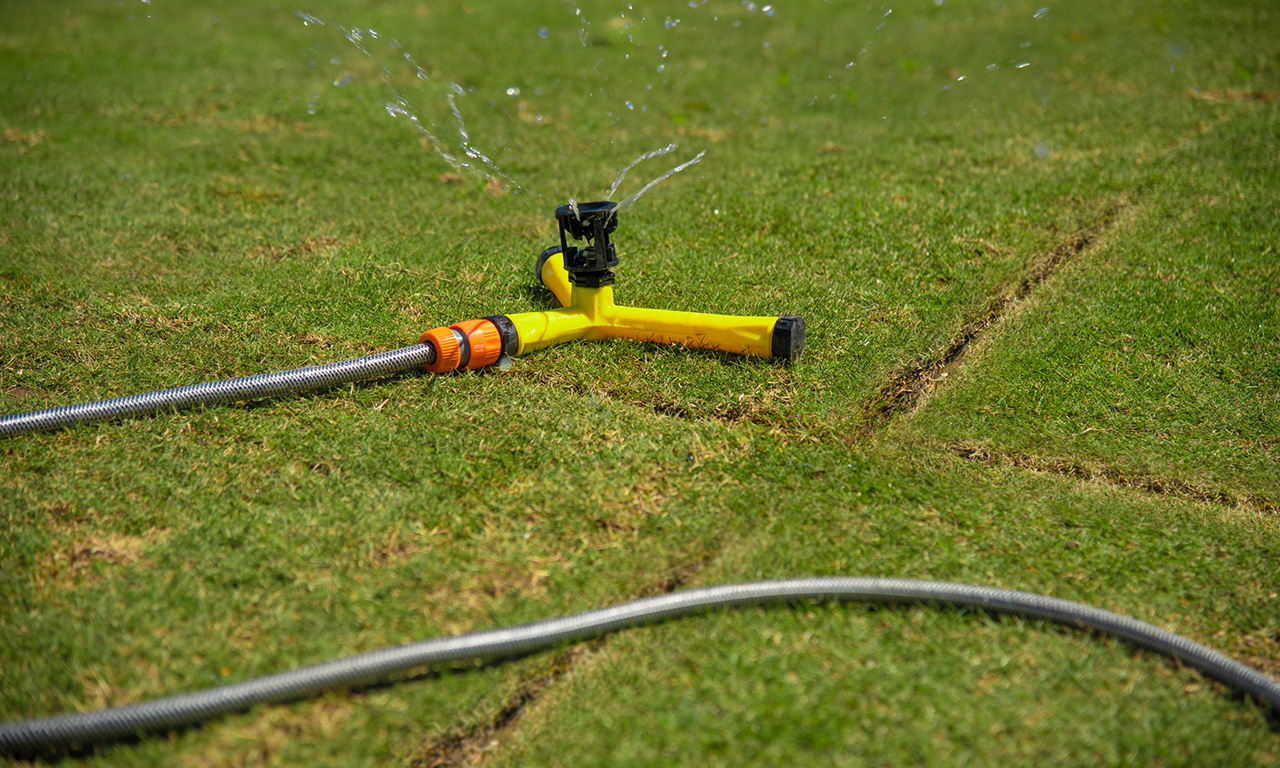 Lawn Maintenance
