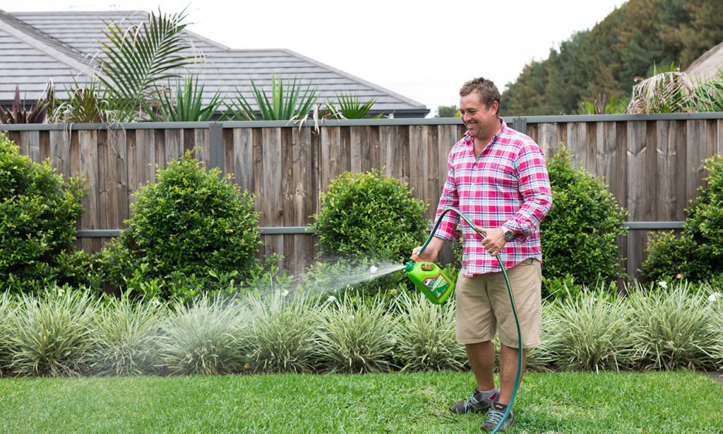 Lawn Maintenance and Fertilisation