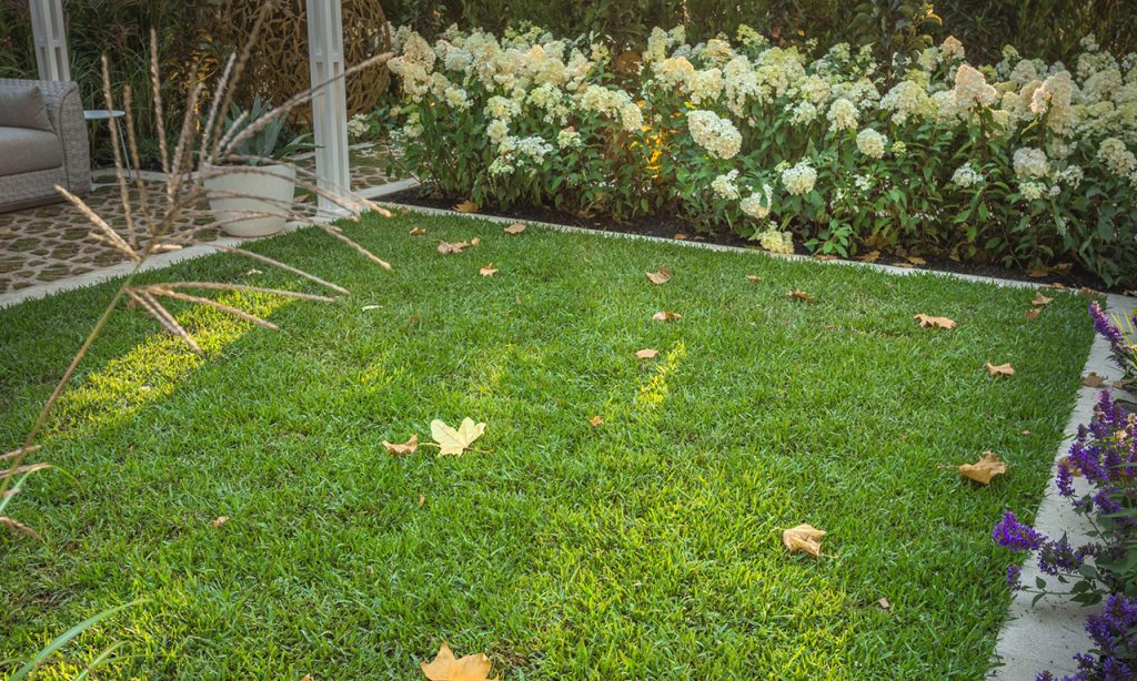 Mowing your Wide Bay Turf Lawn