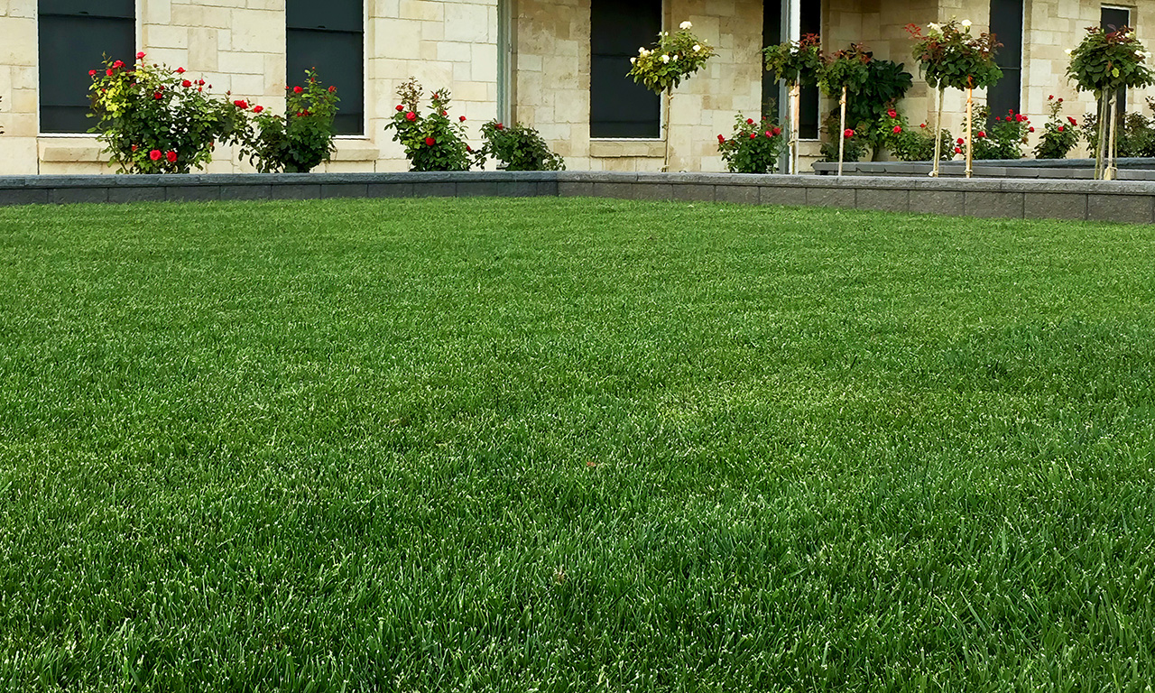 Mowing your Wide Bay Turf Lawn