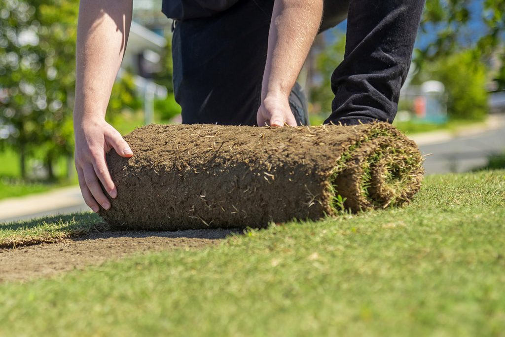 Wide Bay Turf supplies turf for all of your needs