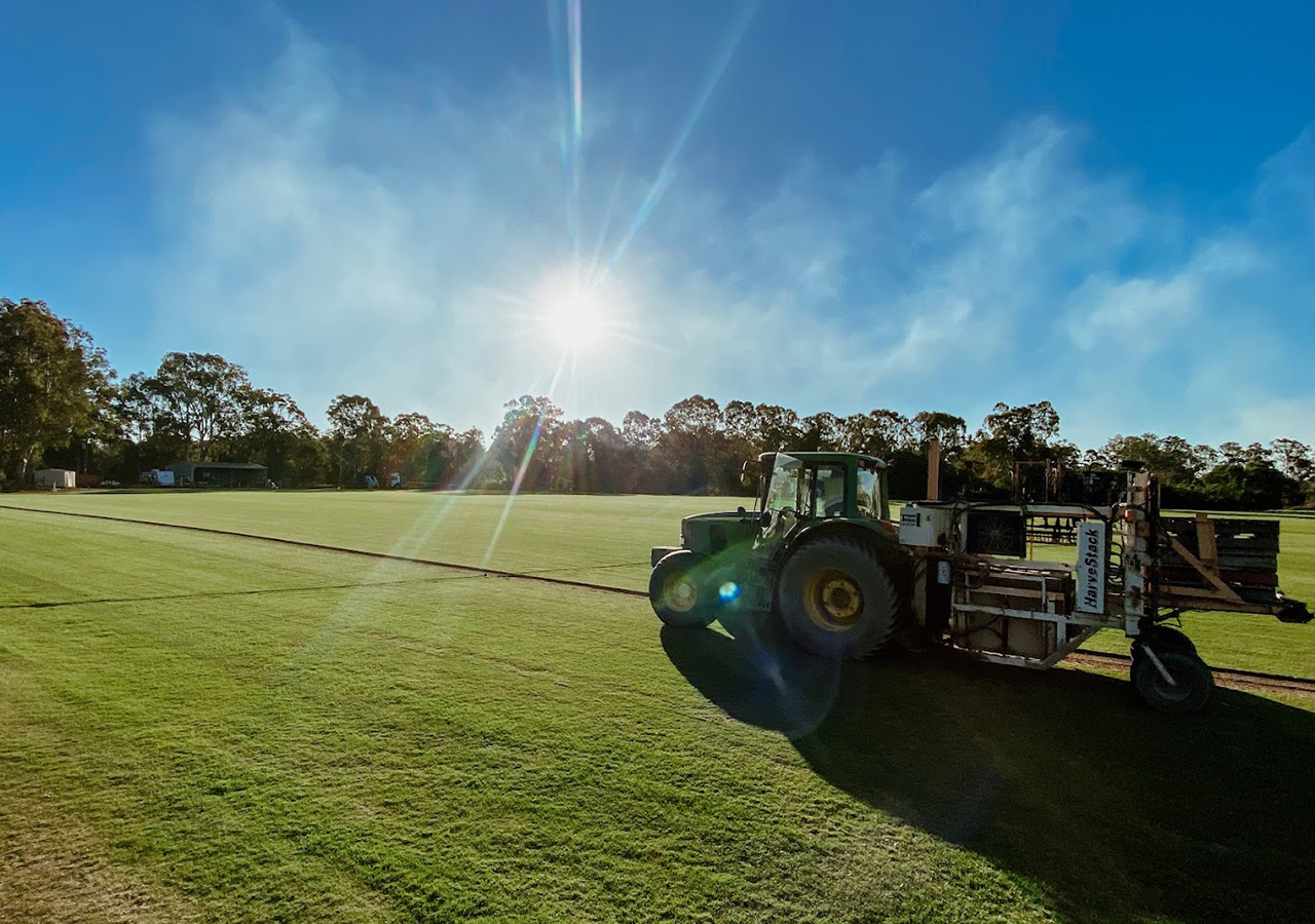 Wide Bay Turf Supplies in Maryborough