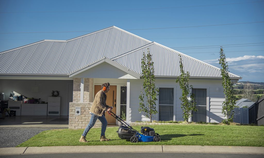 Lawn Maintenance and weed control