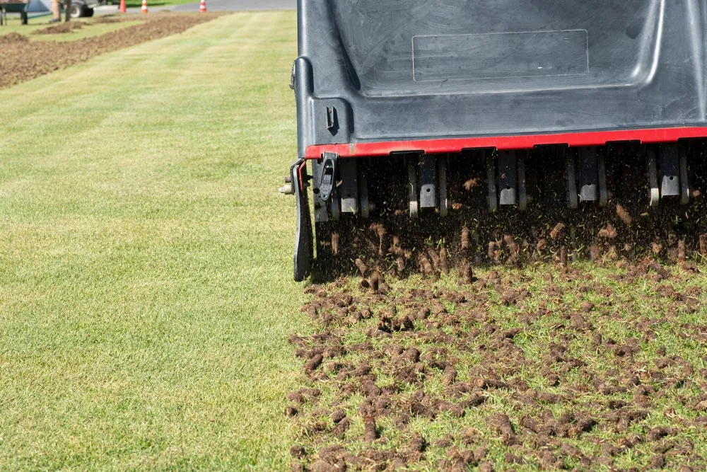Aerating lawn using a lawn Aerator