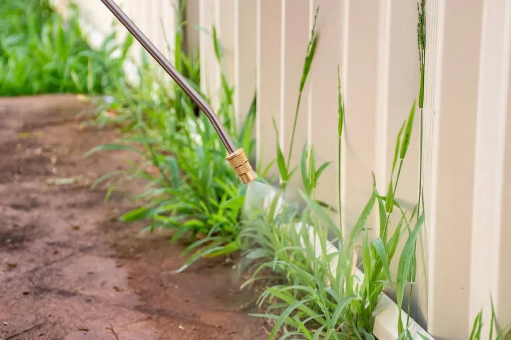 How to spray chemicals on grass weeds
